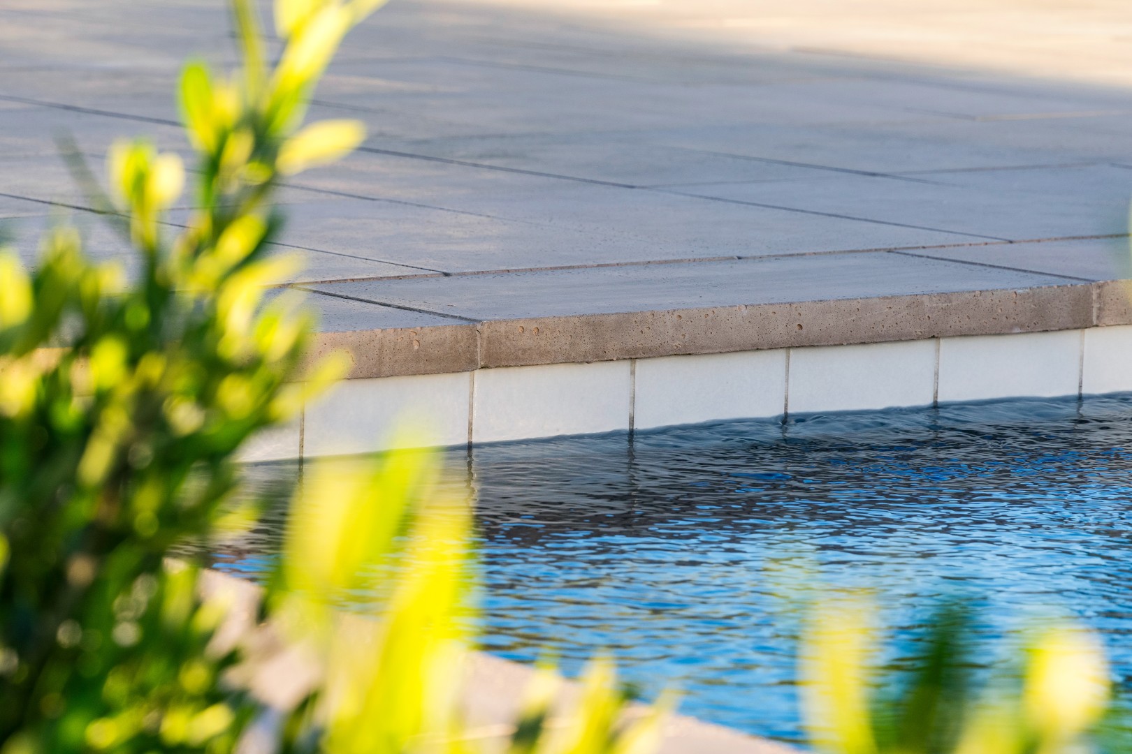 Custom pool and backyard design on Joshua Tree in Paradise Valley, AZ by Envy Pools