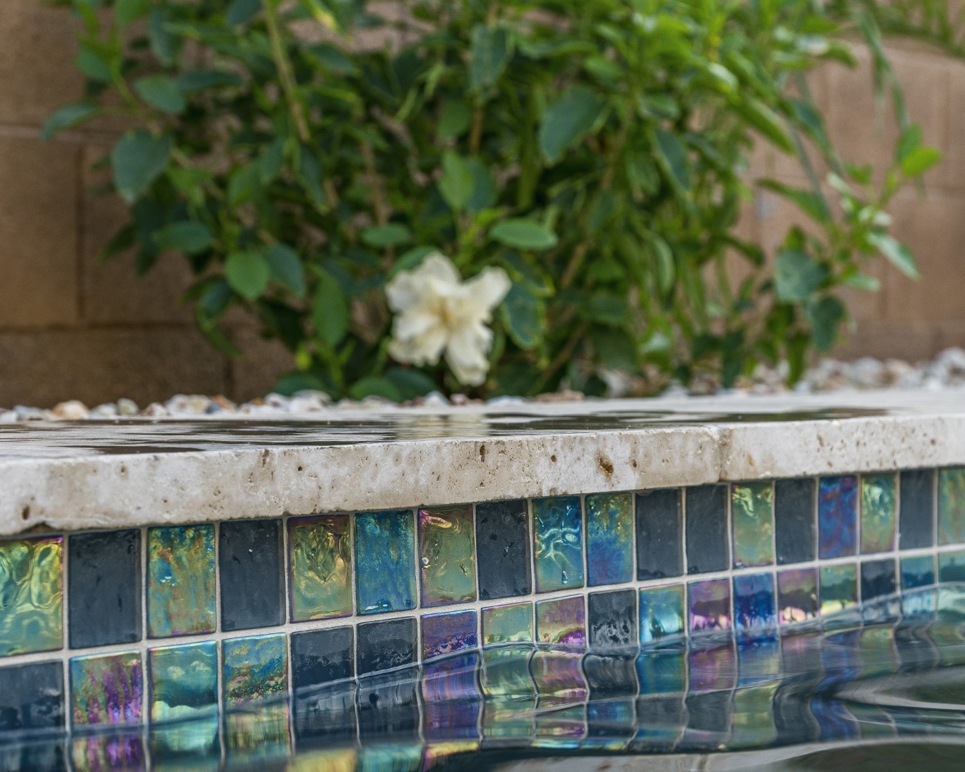 Custom freeform pool with dual waterfalls and iridescent tile in Gilbert, AZ by Envy Pools